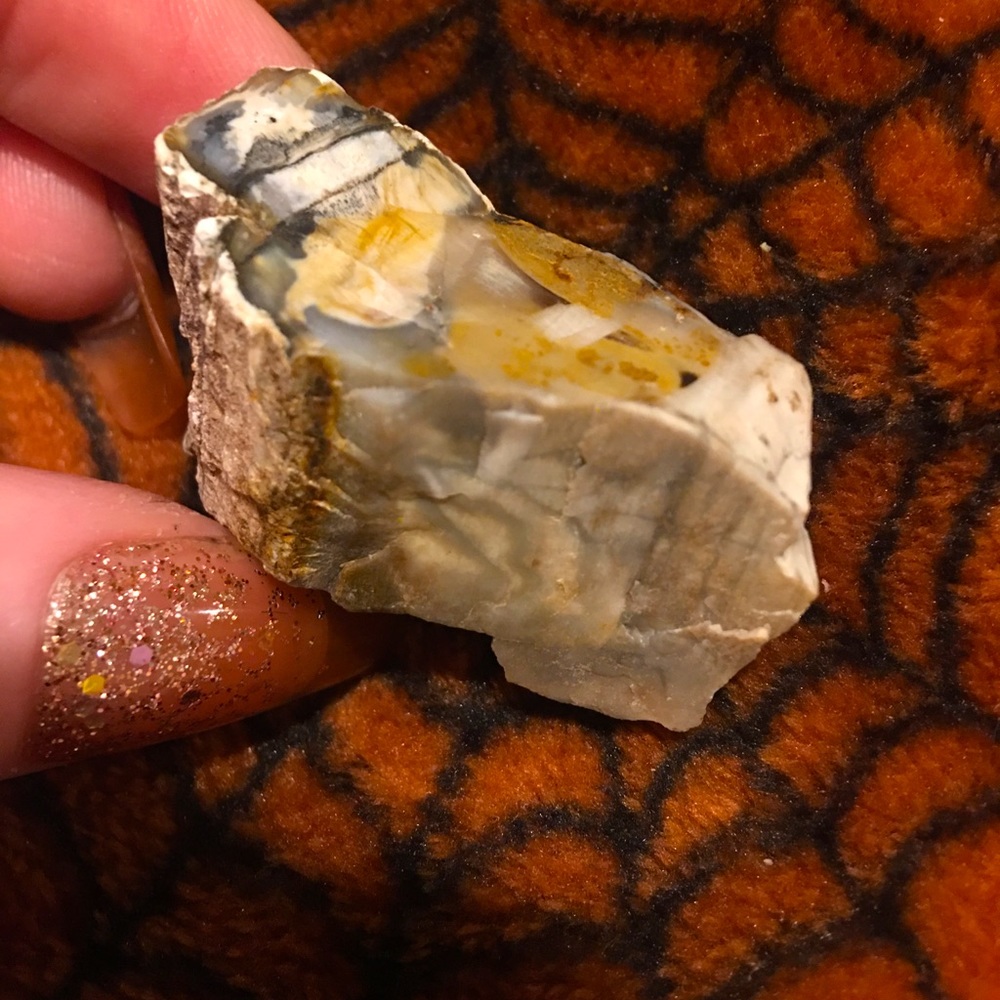NEW Petrified wood, size is small, colors go from gray, brown,black, and yellow.